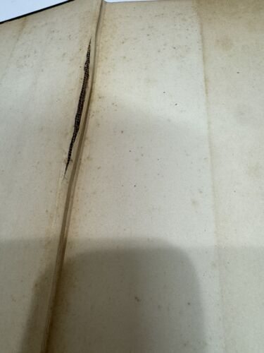 SPECIAL DELIVERY Branch Cabell First Edition 1933 Hardcover w/ Dust Jacket