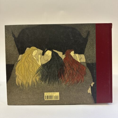 The Three Incestuous Sisters by Audrey Niffenegger Hardcover Book Graphic Novel