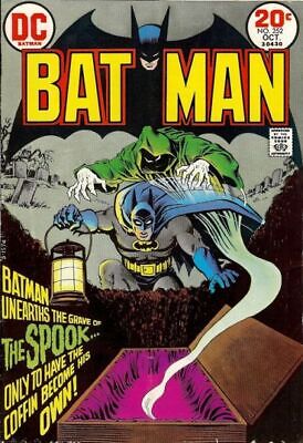 DC Comics Batman Vol 1 #252 1973 5.0 VG/FN