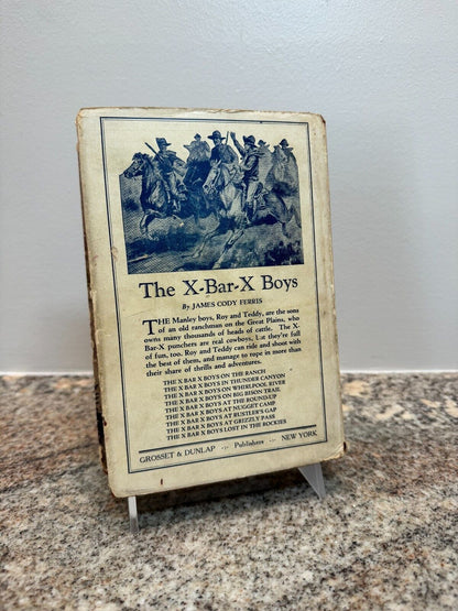 Franklin W. Dixon Hardy Boys #8 The Mystery of Cabin Island 1929 HCDJ First Ed.